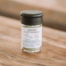 Load image into Gallery viewer, Culinary Herb - Cancer bush