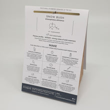 Load image into Gallery viewer, Culinary Leaves & Twigs - Snow bush