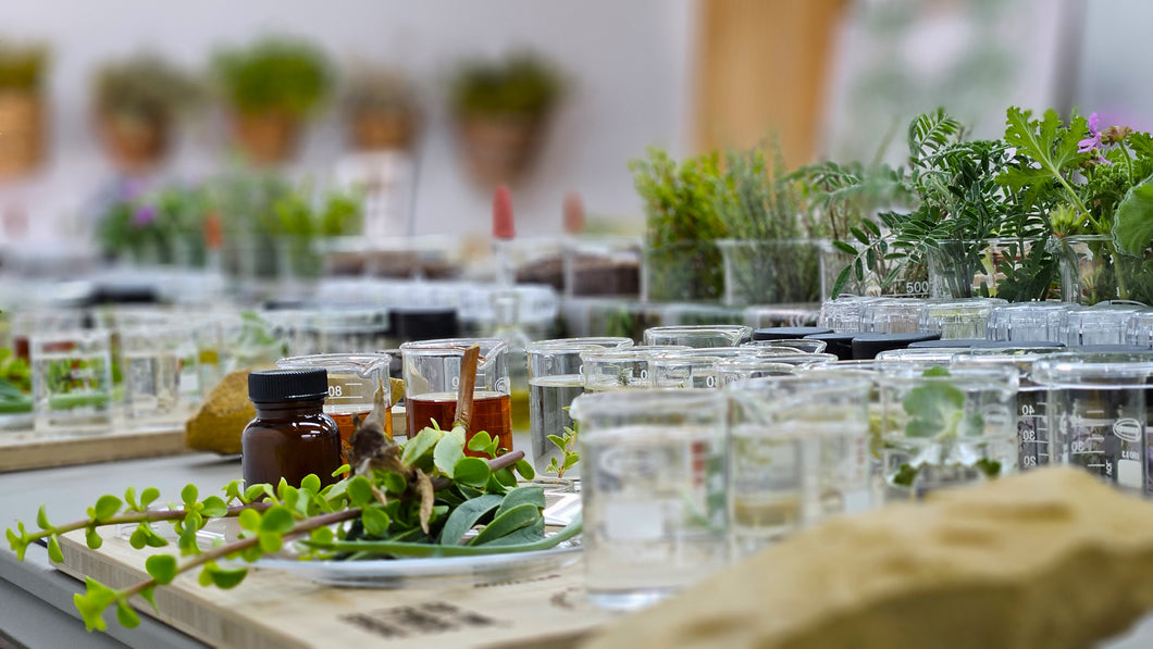 Cape Town Fynbos Experience Ticket