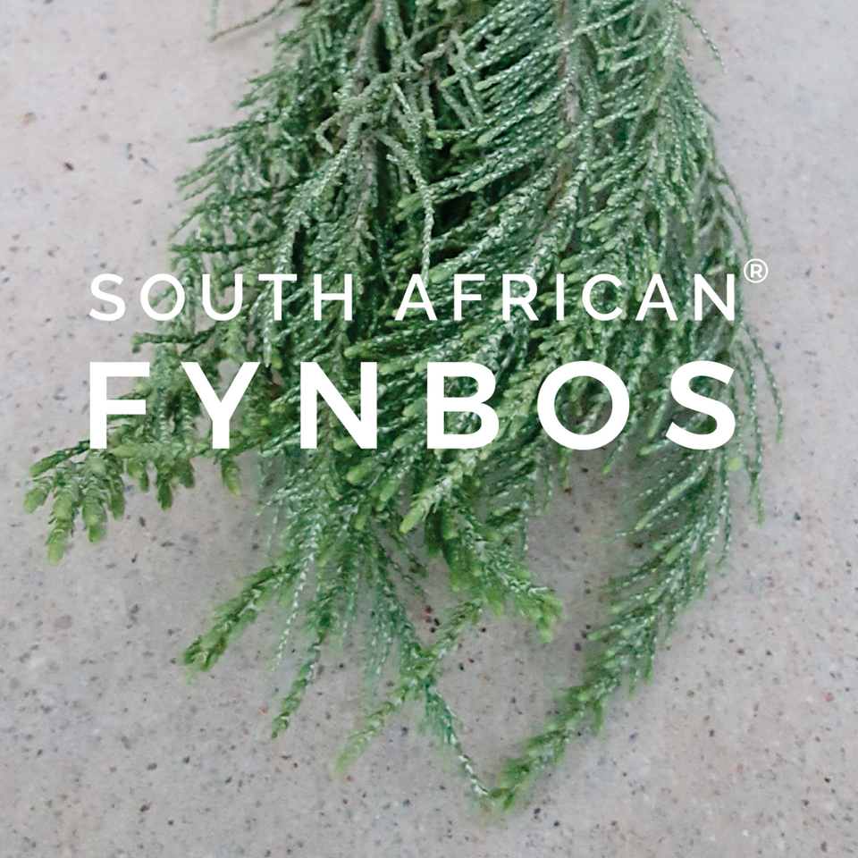 Rinoster The Flavours of Fynbos l South Africa's Unique Culinary Herbs – South ...