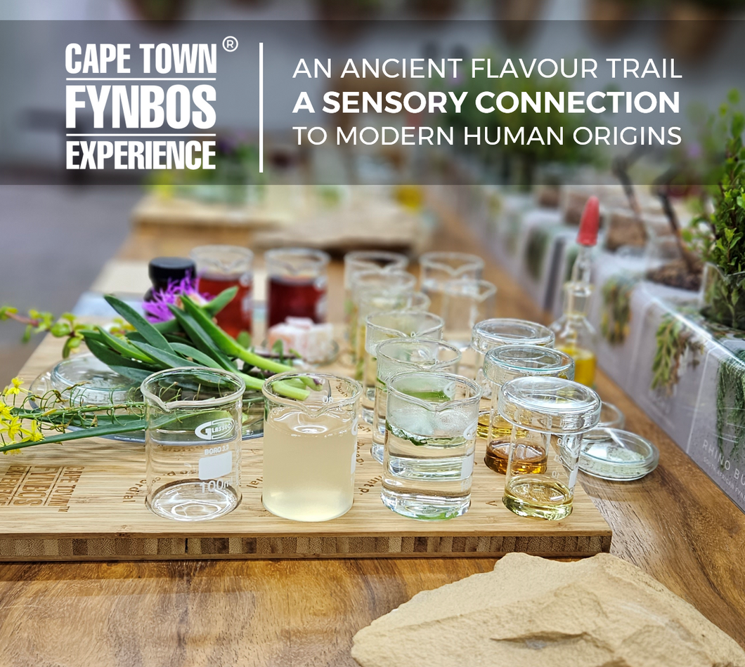 Cape Town Fynbos Experience Ticket