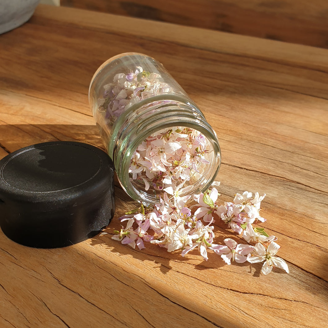 Dried Flowers - Buchu