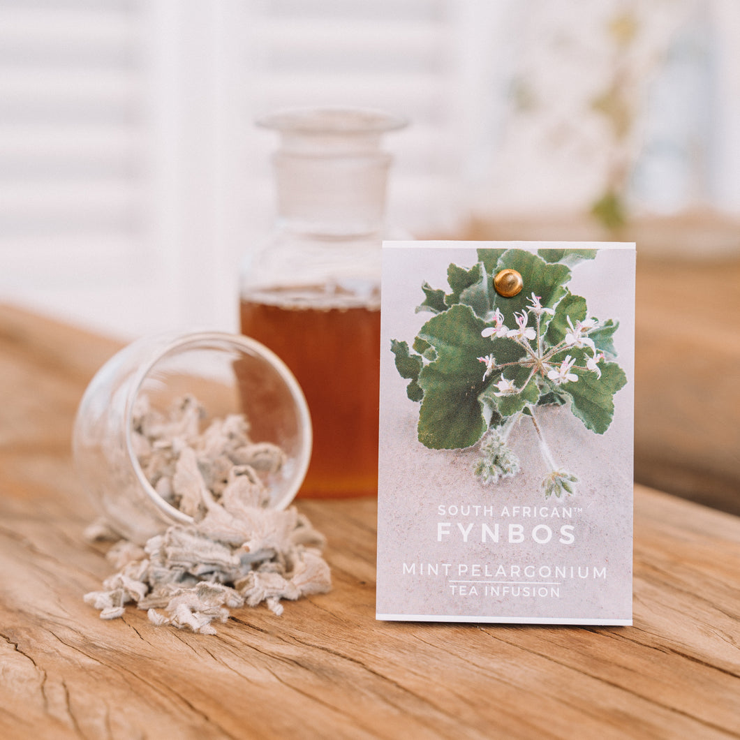 Tea Infusion - Mint pelargonium