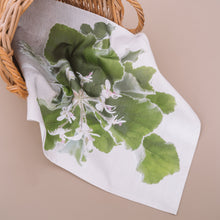 Load image into Gallery viewer, Gift Box - Tray Cloth &amp; Scent Sachet - Mint pelargonium
