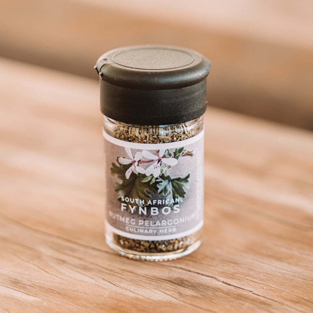 Culinary Herb - Nutmeg pelargonium